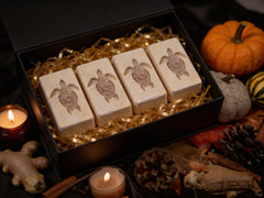 Fall 4 Pack Bundle 6oz