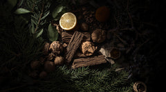 Dark Woods Bath Bomb - "Untamed Masculine Power"