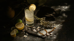 Sparkling Lemon - Sunshine in a Bottle